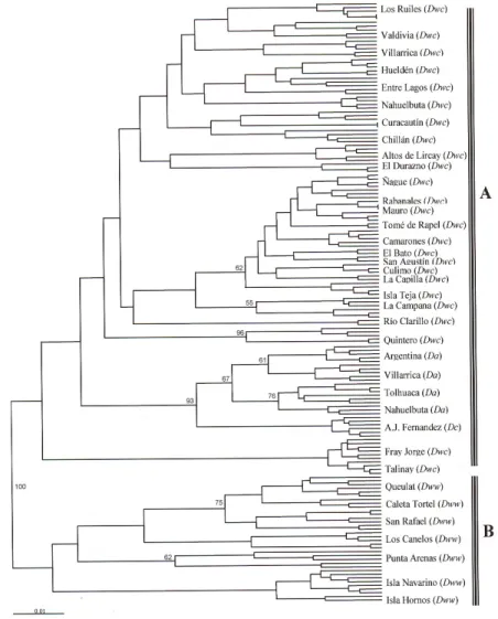 Figure 5. Dendrogram for molecular analyses using RAPD markers generated from Nei and Li (1979) distances  using the UPGMA algorithm for populations of Drimys