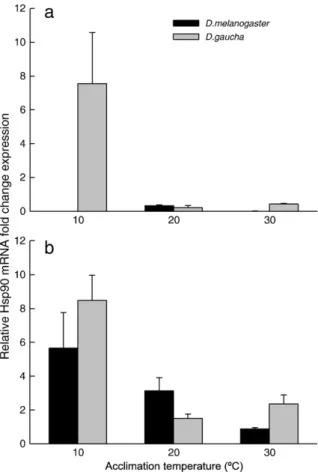 Fig. 3. Relative induction of hsp90 mRNA in D. melanogaster and D. gaucha after accli- accli-mation at 10, 20 and 30 °C for 1 week (accliaccli-mation temperatures were used as control temperatures) in a) 34 °C sublethal thermal treatment and b) −4 °C suble