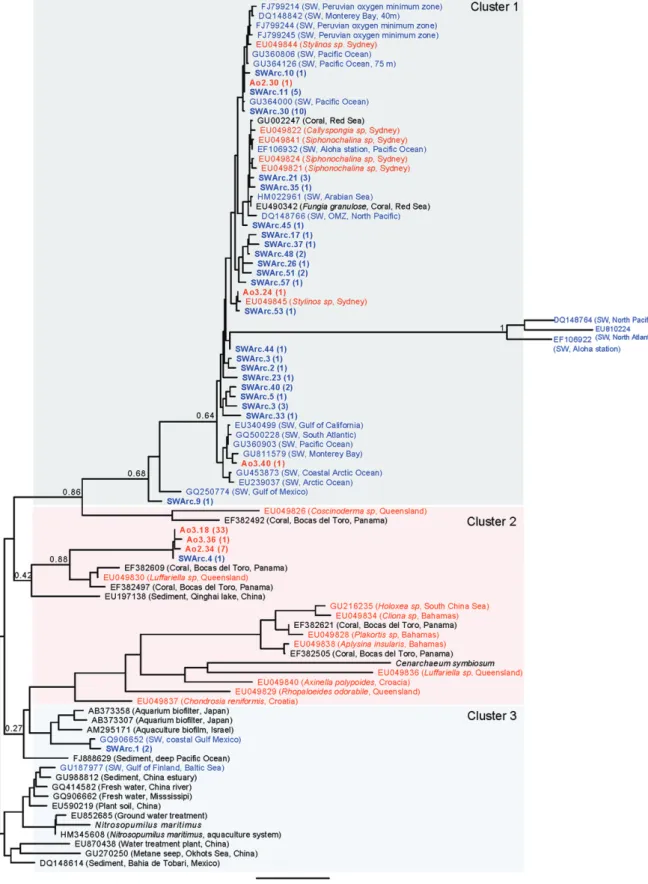 Fig. 5. Maximum likelihood phylogenetic tree based on archaeal amoA DNA sequences (570 informative positions)