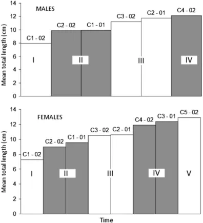 Fig. 5. Cohort allocation within age classes by sex for Heterocarpus vicarius (Faxon, 1893) in the Colombian Pacific