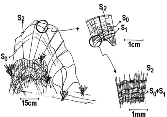 Fig. 3 - Esquema representando um afloramento crítico da Formação da Horta da Torre. Do local assinalado com a circunferência (charneira da dobra), retirou-se uma amostra orientada, para lâmina delgada