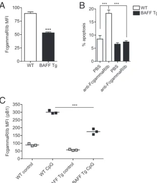 FIGURE 5. BAFF downregulates FcgRIIb expression on peritoneal B1 cells in vivo. ( A) MFI (geometric) 6 SD for FcgRIIb on peritoneal B1 cells from WT (open bar) and BAFF-Tg (filled bar) mice
