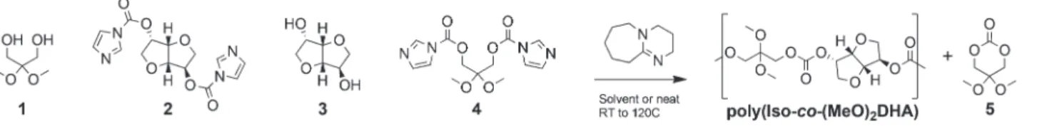 Table 1 Polymerization of diols (1 and 3) and bis-carbonylimidazolides (2 and 4) under various conditions