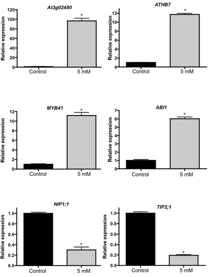 Figure 7. Validation of selected genes by qRT-PCR. Relative levels of gene expression determined by quantitative RT-PCR in roots of 5-day-old wild-type Col-0 treated with 5 mm boric acid (BA) for 12 h