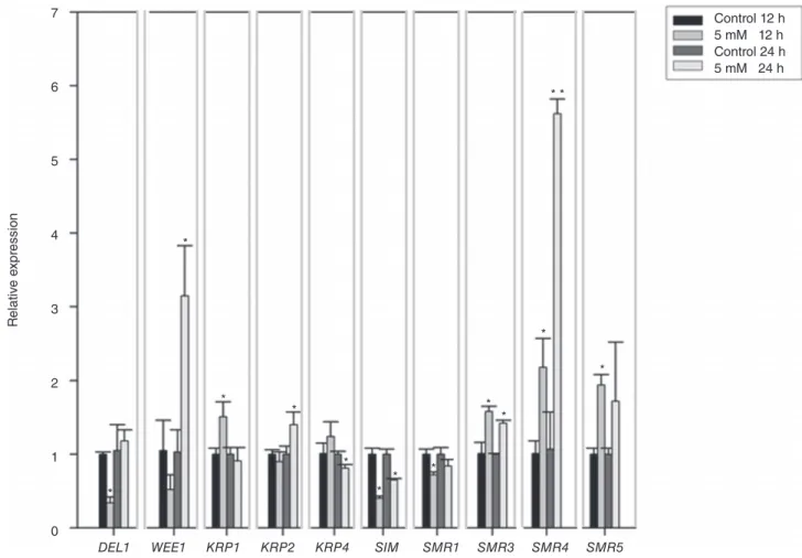 Figure 4. Expression of negative regulators of cell cycle. Relative levels of gene expression determined by quantitative RT-PCR in roots of 5-day-old wild-type Col-0 treated with 5 mm boric acid (BA)