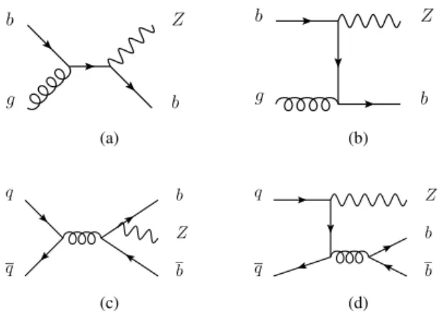 Fig. 1. Main diagrams for associated production of a Z boson and one or more b- b-jets.