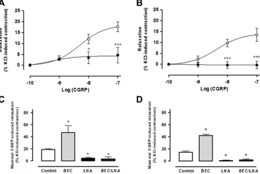 Fig. 4. eNOS and p-eNOS 1177 protein expression in HUAEC and HUVEC exposed to hypoxia