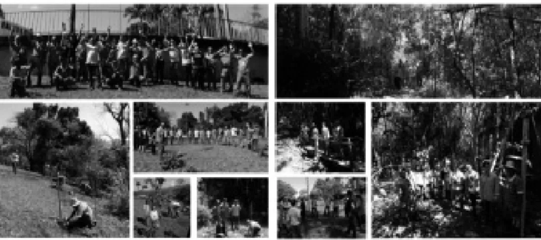 Figura 4: imagens ilustrativas de plantios e trilha pela floresta por ocasião do Dia da Árvore, em 2016, no  Inmetro, com a participação de colaboradores e pessoal de manutenção de áreas externas do Campus.