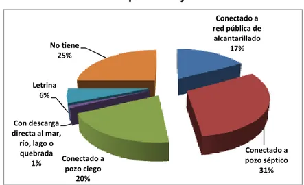 Gráfico 4: Procedencia de energía eléctrica en el Cantón Pedro  Carbo, Año 2010 
