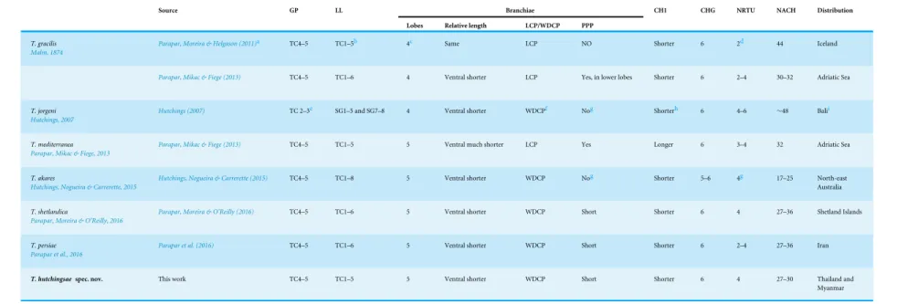 Table 2 Comparison of Terebellides with ciliated papillae in branchial lamellae. Comparison of several body characters of the species of Terebellides described with cili- cili-ated papillae in branchial lamellae.