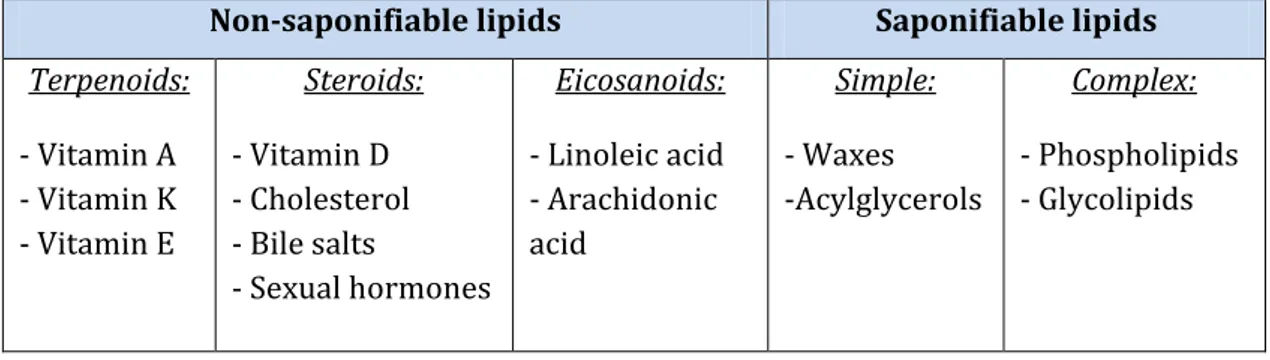 Figure  I5.  Lipid  classification.  According  to  their  biological  role  we  can  distinguish  between  energy  lipids  (triacylglycerols)  and  storage  lipids  (phospholipids  and  glycolipids)