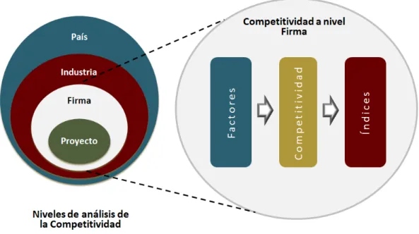 Figura 2-1 Variables que determinan la competitividad a nivel firma. 