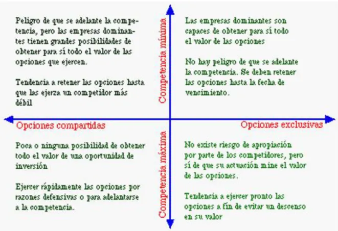 Ilustración 5.  Opciones de crecimiento y factor tiempo