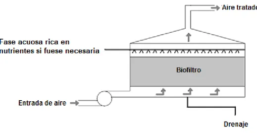 Figura 2: Esquema de un biofiltro. 