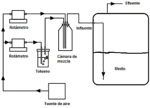Figura 5: Esquema del reactor de biomasa en suspensión que será utilizado 25