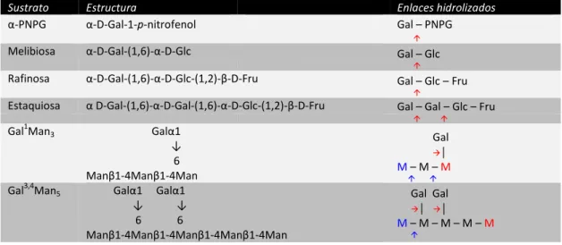Tabla 1. Estructura de los sustratos susceptibles de hidrólisis por α-Gals y β-manosidasas