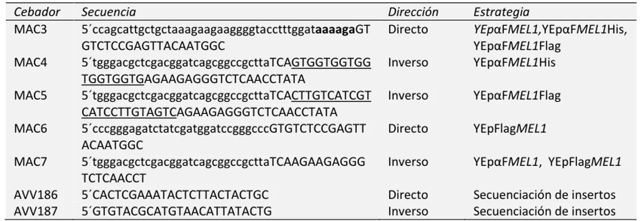 Tabla 1. Oligonucleótidos empleados en la amplificación y secuenciación de variantes del gen MEL1