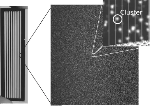 Figura 6 Se muestra una célula de flujo de ocho carriles en el que el primer zoon muestra una baldosa (tile)  formada por miles de  clusteres, en el que cada cluster está formado por la amplificación clonal de una molecula inicial de ADN [122] 