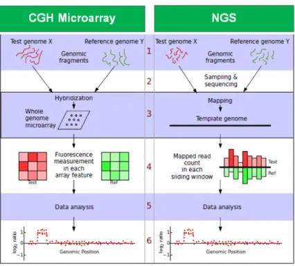 Figura 10. Comparación entre la recnología de un array CGH y la metodología de NGS para detectar CNVs 