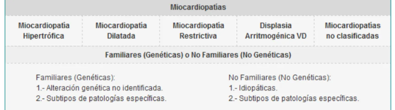 Figura 12. Clasificación de las miocardiopatías propuesta por la sociedad europea de cardiología  Miocardiopatía Hipertrófica Familiar 