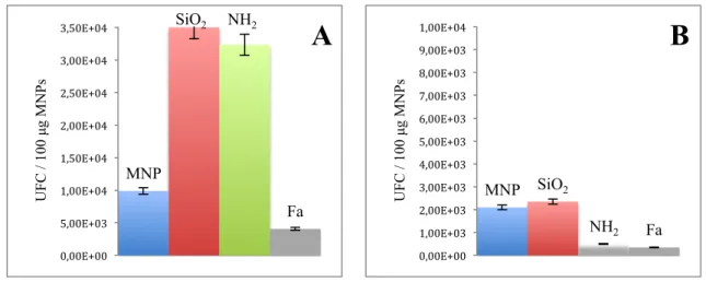 Figura 10. Resultados del ensayo de interacción MNPs-bacterias variando la temperatura, con 100 µg  de MNPs, en tampón PBS, y durante 30 minutos