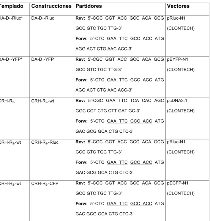 Tabla 3. Construcciones  