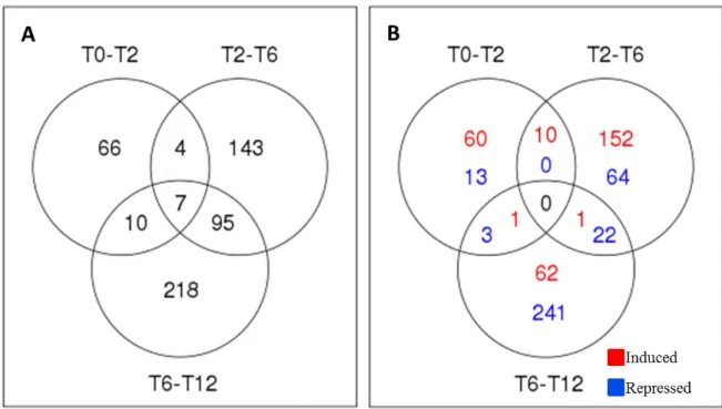 Figure  5:  Venn  diagrams  of  differentially  expressed  transcripts  during  early  berry  development in grapevine 