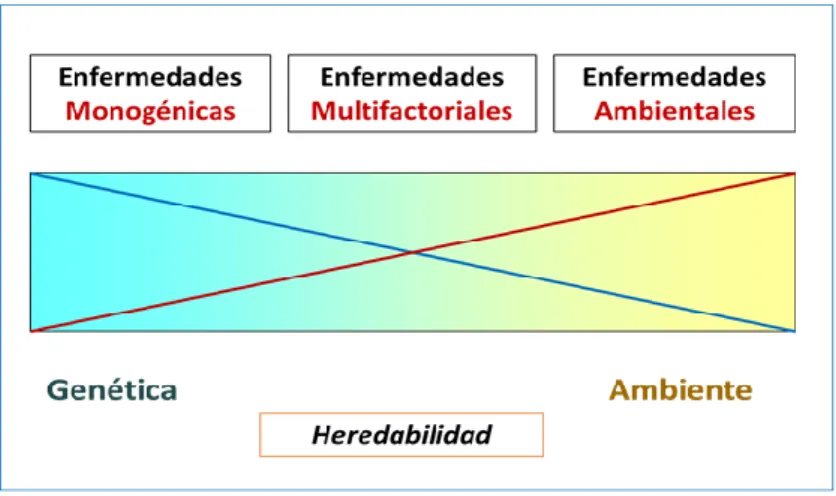 Figura  1  Espectro  de  las  enfermedades  según  la  contribución  relativa  de  los  factores  genéticos  y  ambientales a su etiología