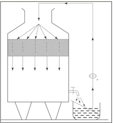 Figure  I.1:    Aerated  pump  over  operation.  The  arrows  indicate  the  direction  of  the  fermenting must flow (P= pump)