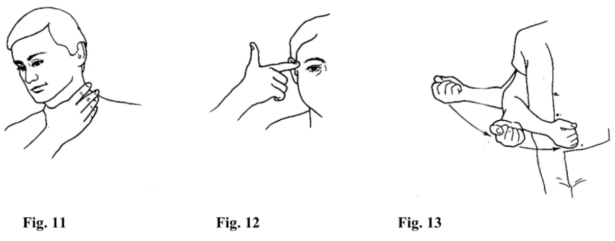 Fig. 11                                       Fig. 12                                    Fig
