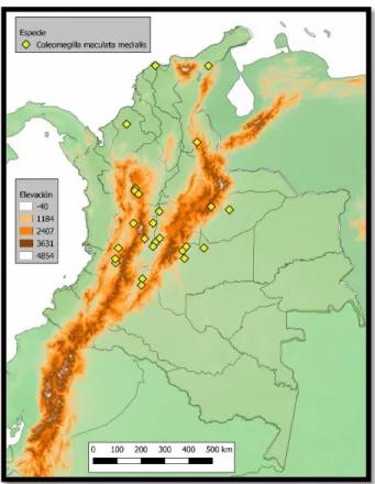 Figura 10 Aproximación a la distribución de Coleomegilla maculata medialis en Colombia