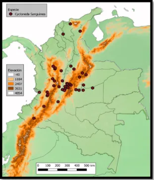 Figura 16. Aproximación de distribución de Cycloneda sanguinea en Colombia. 