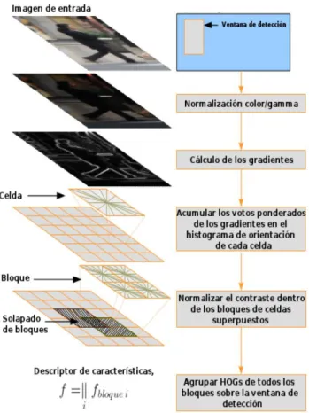 Figura 2.3: Proceso de extracción de los descriptores HOG.