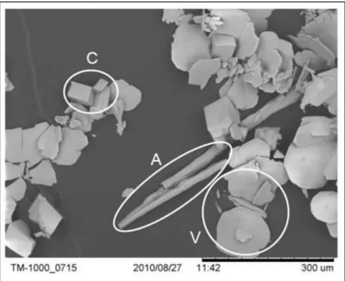 Figure 1-4 Scanning electron microscope  