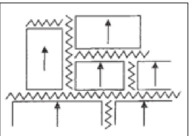 Figure 1-7 Domain structure in a single crystal with intercalated organic  molecules  