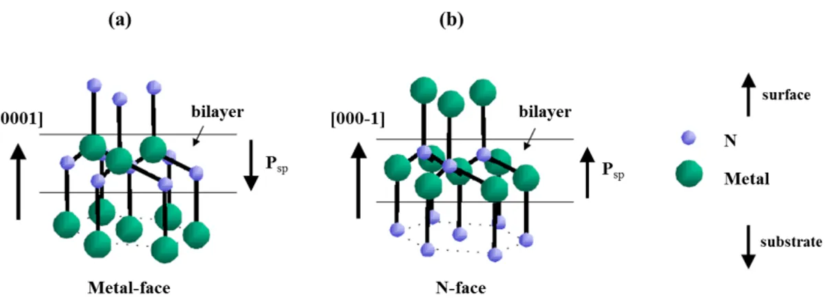 Figure 2.3: Different polarities on wurtzite III-nitrides with the corresponding spontaneous polarization directions: (a) metal-polarity and (b) N-polarity.