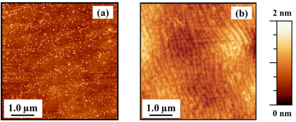 Figure 2.16: AFM images of the substrates used in this work: (a) sapphire and (b) AlN-on-sapphire template.