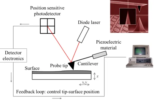 Figure 3.7: Schematic representation of the AFM setup and FESEM image of the used tips.