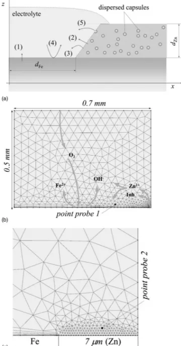 Figure 1. Geometry of the corrosion problem: a) schematic representation of a general coating’s defect and b) as implemented into the numerical model with c) detail of the model near the Zn surface