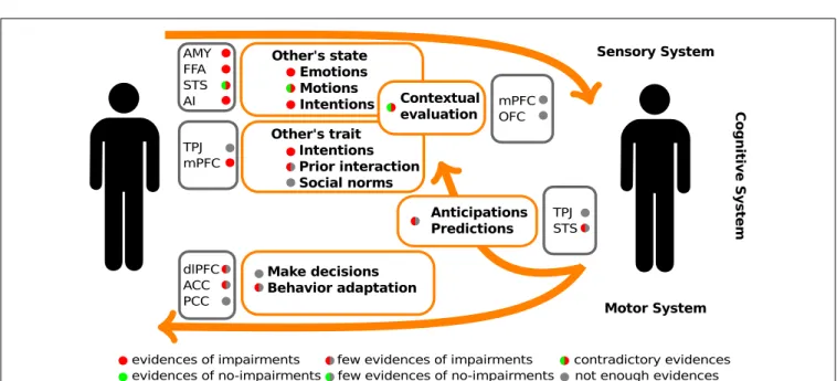 FIGURE 2 | Schematic summary of the evidences of social cognitive impairments and their underlying neuro-biological mechanisms in schizophrenic patients