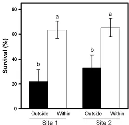 Fig. 2. Survival (%) of Deschampsia antarctica plants 1 mo after transplant outside (black bars) and within (white bars) Usnea antarctica cushions at two sites in Maritime Antarctica