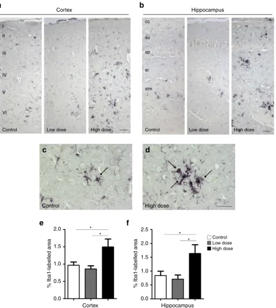 Figure 5 | Microglial activation is signiﬁcantly increased in high-dose smoke-treated animals