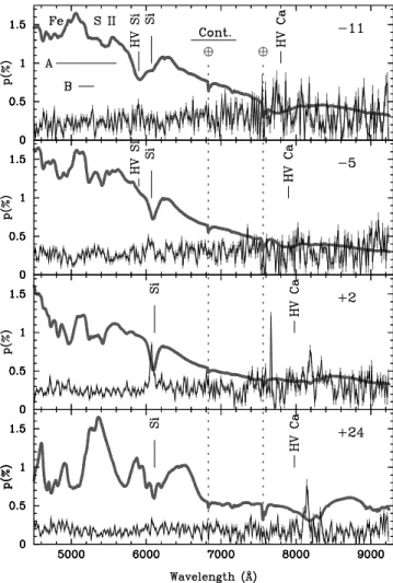 Figure 1. Polarization spectra of SN 2012fr at -11, -5, +2 and +24d relative to B-lightcurve maximum