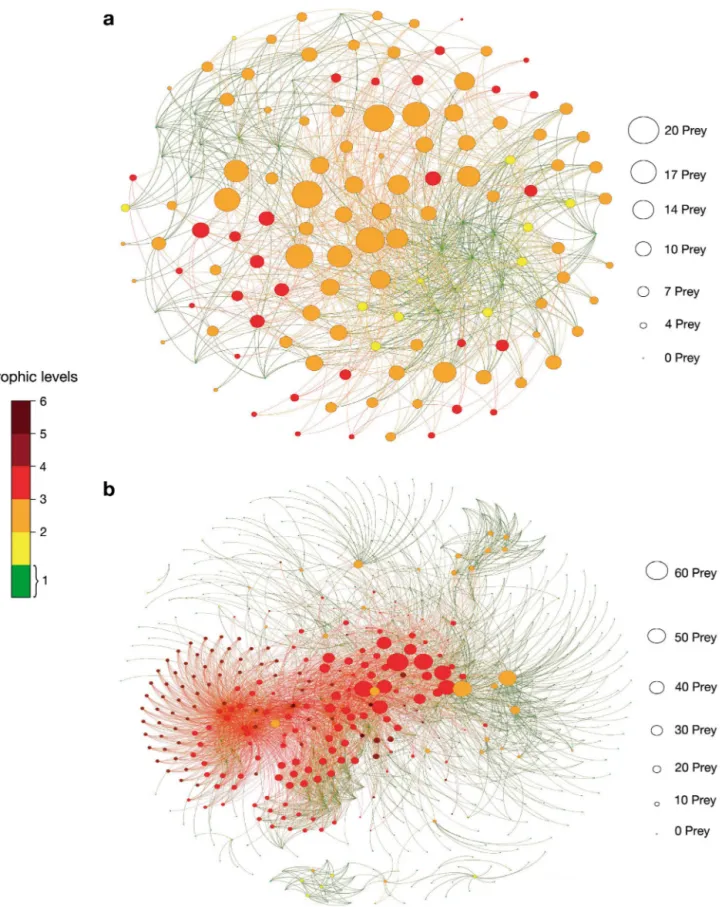 Fig. 1. (a) Arctic and (b) Antarctic food webs studied. Each node in the networks represents 1 species of the food web, and lines connecting these nodes represent trophic relationships among the species