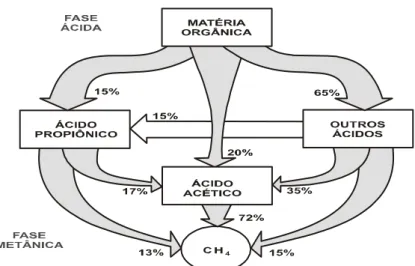 Figura 5.2. Rotas de transformação da matéria orgânica (Mc Carty) RESÍDUOSORGÂNICOSCOMPLEXOSCH4 +CO2ÁCIDOSORGÂNICOSBactérias formadorasde ácidosBactérias formadorasde metano