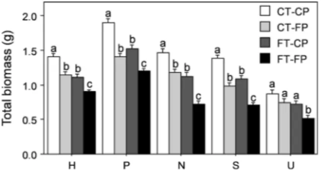 Fig. 2 Root-to-shoot ratio at the end of the experiment for the different species (H: P