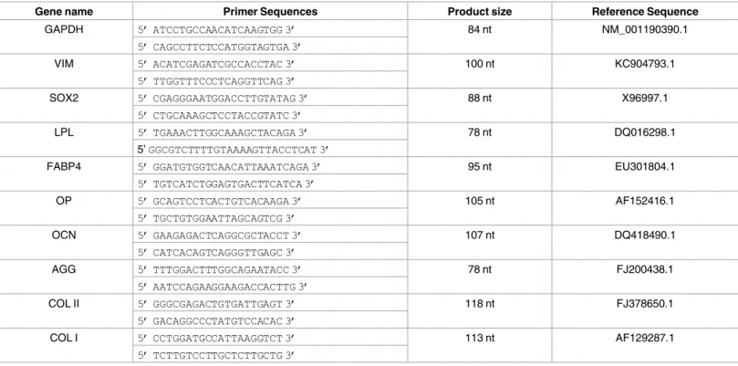 Table 2. Primers used for the relative expression (REL) of typical genes for differentiation and multipotency.