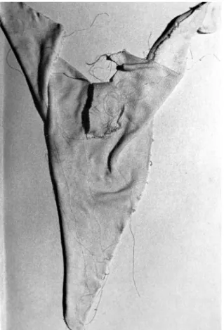 Fig. 21. Cristo (1972); trapo sobre tela.