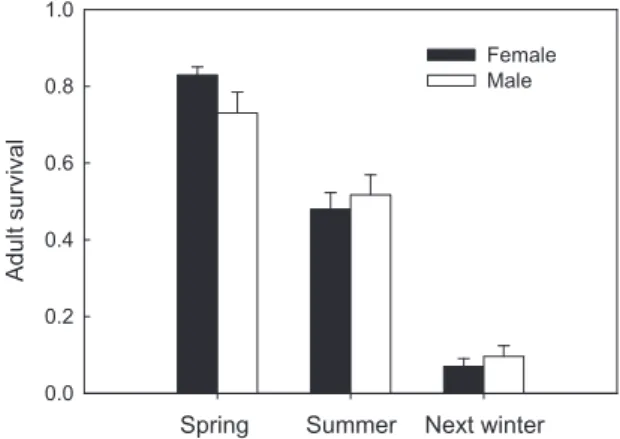 Fig. 1. Proportion of adult male and female degus known to be alive during winter  (mating) that survive to the following spring (lactation time), to summer, and to the  following winter