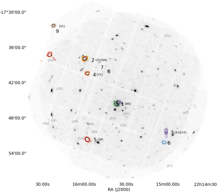 Fig. 4. Over-density contours of galaxies within the field of view of the XMM-Newton pointing